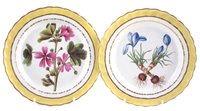 Lot 27 - Two Derby plates