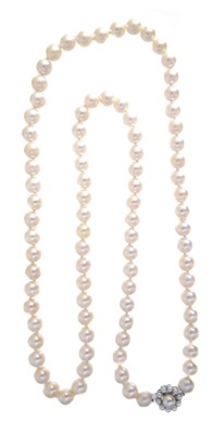 Lot 99 - A cultured pearl necklace