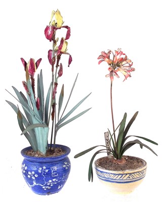 Lot 317 - Beatrice Hindley two plant studies