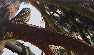 Lot 169 - Chris Rose, "Last Rays", acrylic.