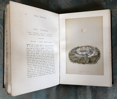 Lot 48 - Morris Rev F.O. A History of British Birds and Natural History of Nests and Eggs of British Birds