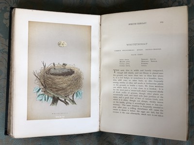 Lot 48 - Morris Rev F.O. A History of British Birds and Natural History of Nests and Eggs of British Birds