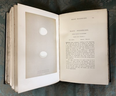 Lot 48 - Morris Rev F.O. A History of British Birds and Natural History of Nests and Eggs of British Birds