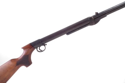 Lot 142 - BSA .22 air rifle no. 60319