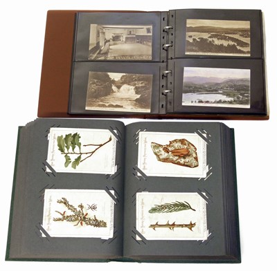 Lot 95 - Vintage postcard collection in albums including Greetings Fairy Tales, Pets and Early Humour