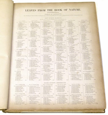 Lot 77 - Leaves from the Book of Nature, one volume.