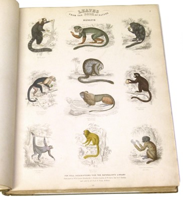 Lot 77 - Leaves from the Book of Nature, one volume.