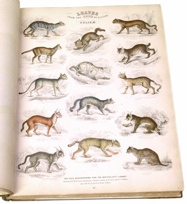 Lot 77 - Leaves from the Book of Nature, one volume.