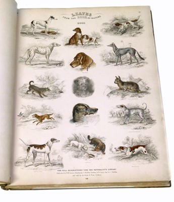 Lot 77 - Leaves from the Book of Nature, one volume.