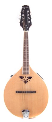 Lot 18 - Ozark mandolin in hard case