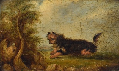 Lot 24 - Circle of George Armfield (British 1808-1893)