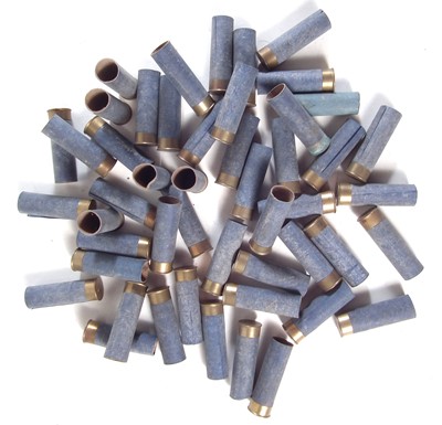 Lot 309 - Fifty Eley Nobel 14 bore cartridge cases.