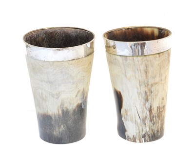 Lot 132 - Two horn beakers