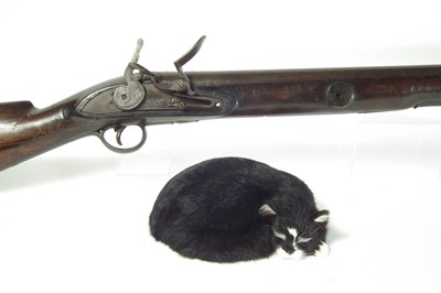 Lot 51 - Massive flintlock wall gun by Lacy and Co.
