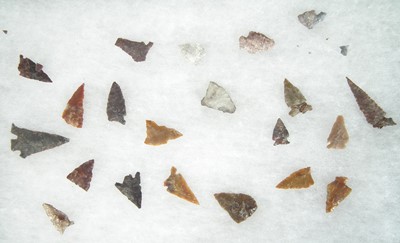 Lot 482 - Cased collection of twenty one flint arrow heads
