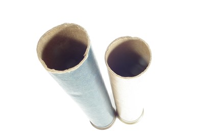 Lot 565 - Two Eley punt gun cartridges