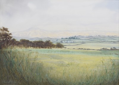 Lot 179 - Janet Kenyon (British 1959-)