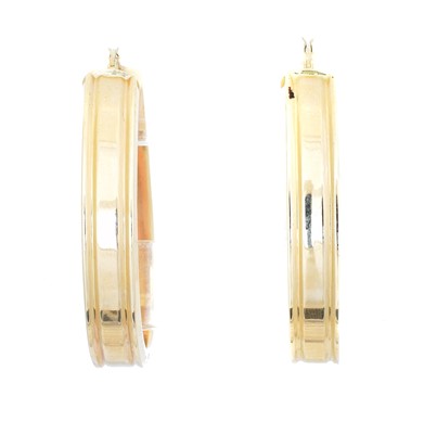 Lot 45 - A pair of hoop earrings