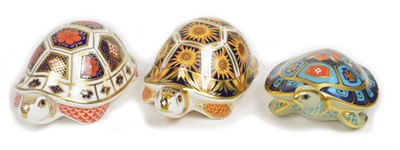 Lot 105 - 3 Royal Crown derby tortoise paperweights