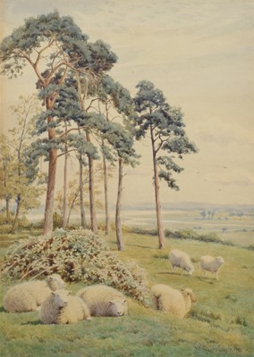 Lot 29 - William Sidney Cooper (British 1854-1927)