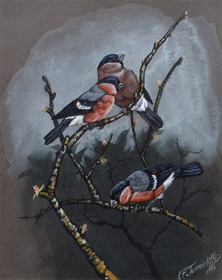 Lot 196 - Charles Frederick Tunnicliffe (British 1901-1979)