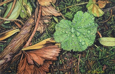 Lot 141 - David Ainsworth (British 20th/21st century)