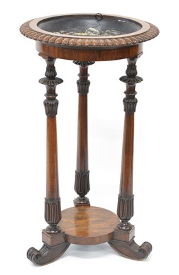 Lot 258 - William IV rosewood jardiniere stand