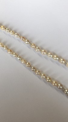 Lot 33 - A pearl and diamond necklace