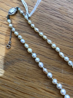 Lot 33 - A pearl and diamond necklace