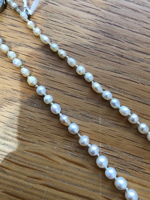 Lot 33 - A pearl and diamond necklace