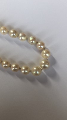 Lot 33 - A pearl and diamond necklace