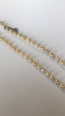 Lot 33 - A pearl and diamond necklace