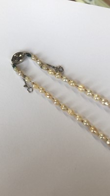 Lot 33 - A pearl and diamond necklace