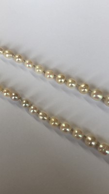 Lot 33 - A pearl and diamond necklace