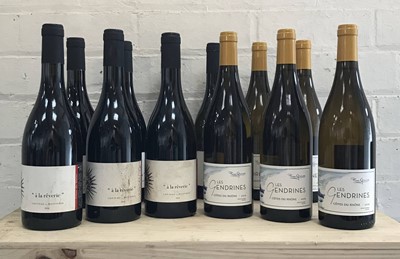 Lot 29 - 12 Bottles Mixed Lot Cotes du Rhone