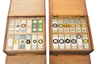 Lot 219 - 192 boxed microscope slides