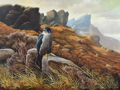 Lot 34 - D.S. Harris (20th/21st century)