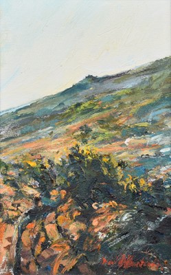 Lot 154 - David Hunt (British 20th/21st century)