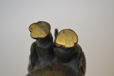 Lot 24 - Cold painted bronze Rhinoceros