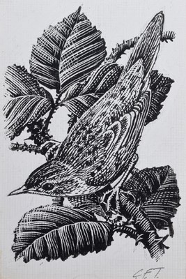 Lot 109 - Charles Frederick Tunnicliffe (British 1901-1979)