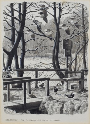 Lot 21 - Charles Frederick Tunnicliffe (British 1901-1979)