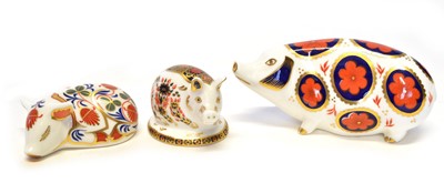 Lot 83 - Three Royal Crown Derby Pig Paperweights