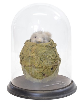 Lot 171 - Late 19th Century French automaton toy of a rabbit in a cabbage