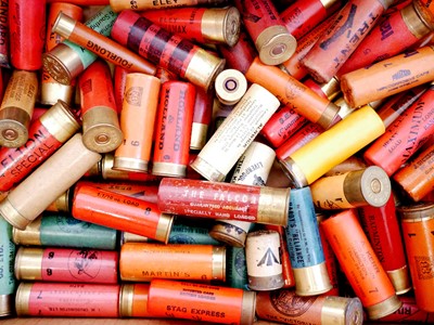 Lot 262 - One hundred and seventy five paper and plastic collectors shotgun cartridges LICENCE REQUIRED