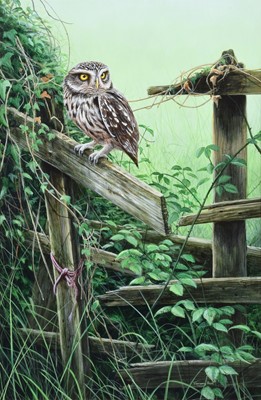 Lot 4 - Dr. Jeremy Paul (British 1954-)