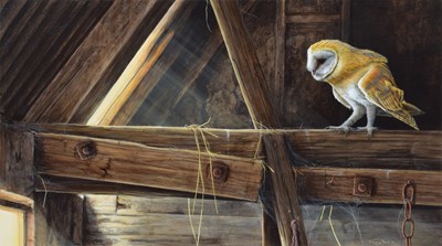 Lot 45 - Dr. Jeremy Paul (British 1954-)