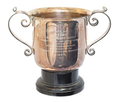Lot 142 - A Victorian silver twin handled trophy