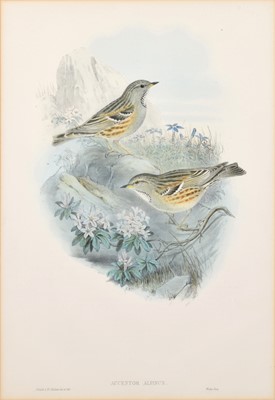 Lot 57 - After John Gould, J. Wolf & H.C. Richter