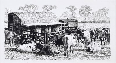 Lot 248 - Charles Frederick Tunnicliffe (British 1901-1979)