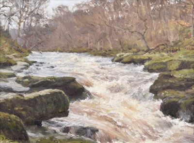 Lot 2 - Bruce Mulcahy (British 1955-)